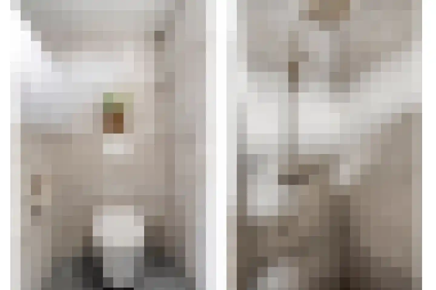 Padbree 1 Haaksbergen thumbnail 35