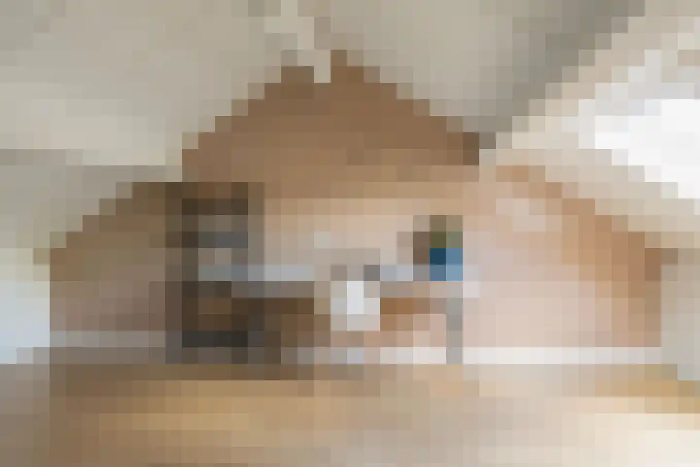 Padbree 1 Haaksbergen thumbnail 37