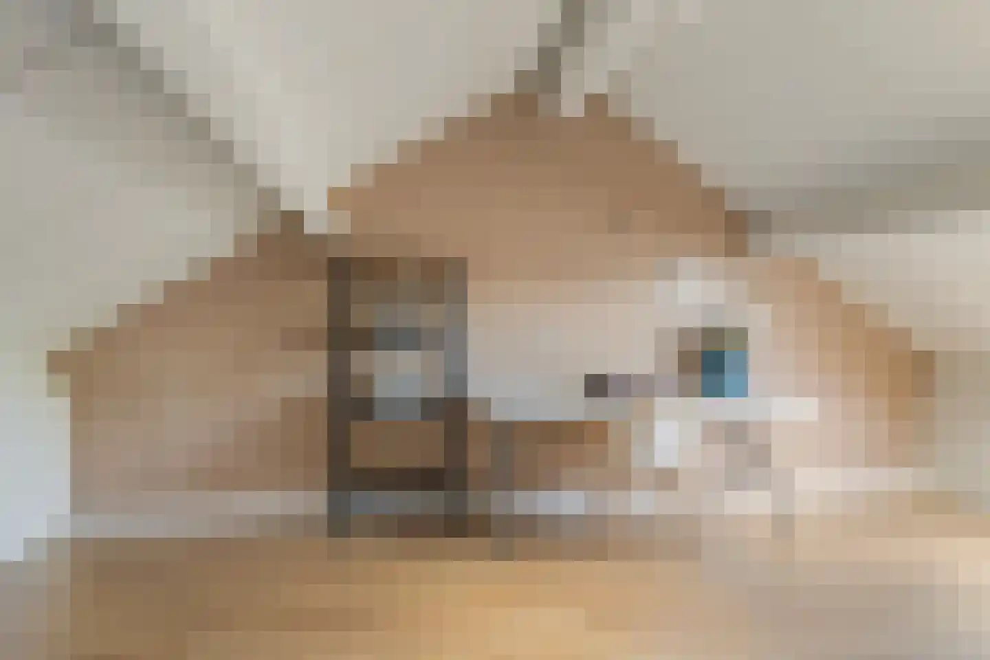 Padbree 1 Haaksbergen thumbnail 38