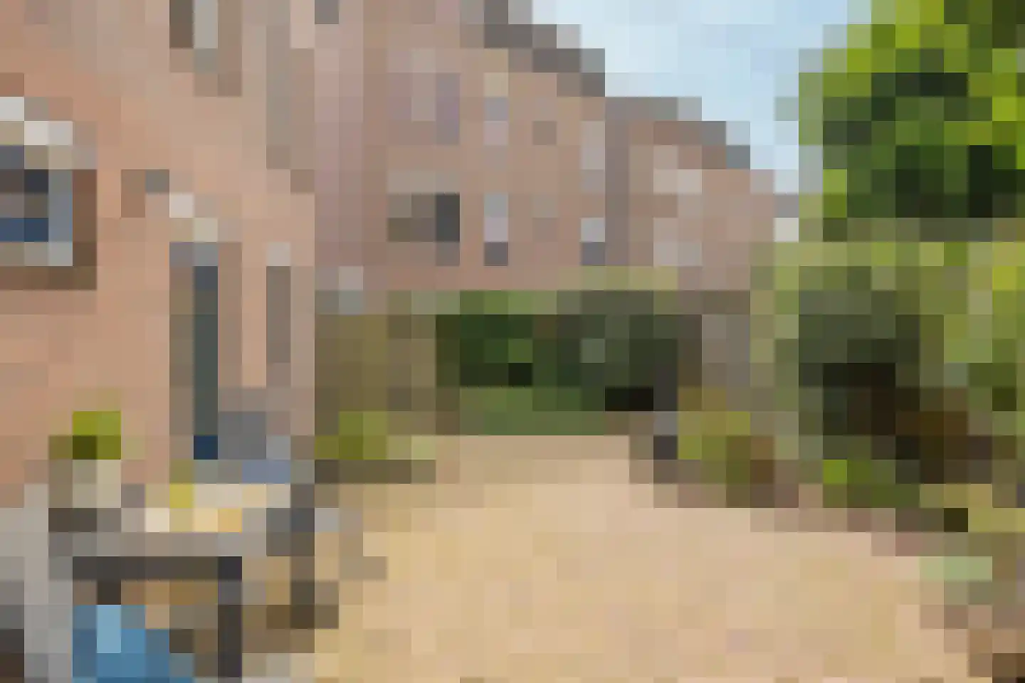 Paddemoes 17 Gorinchem thumbnail 11