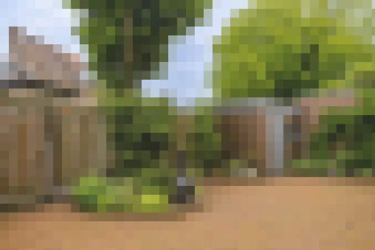 Paddemoes 17 Gorinchem thumbnail 15