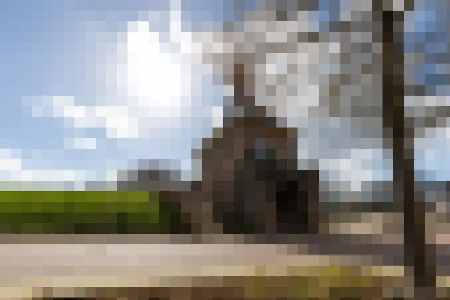 Paddemoes 17 Gorinchem thumbnail 25