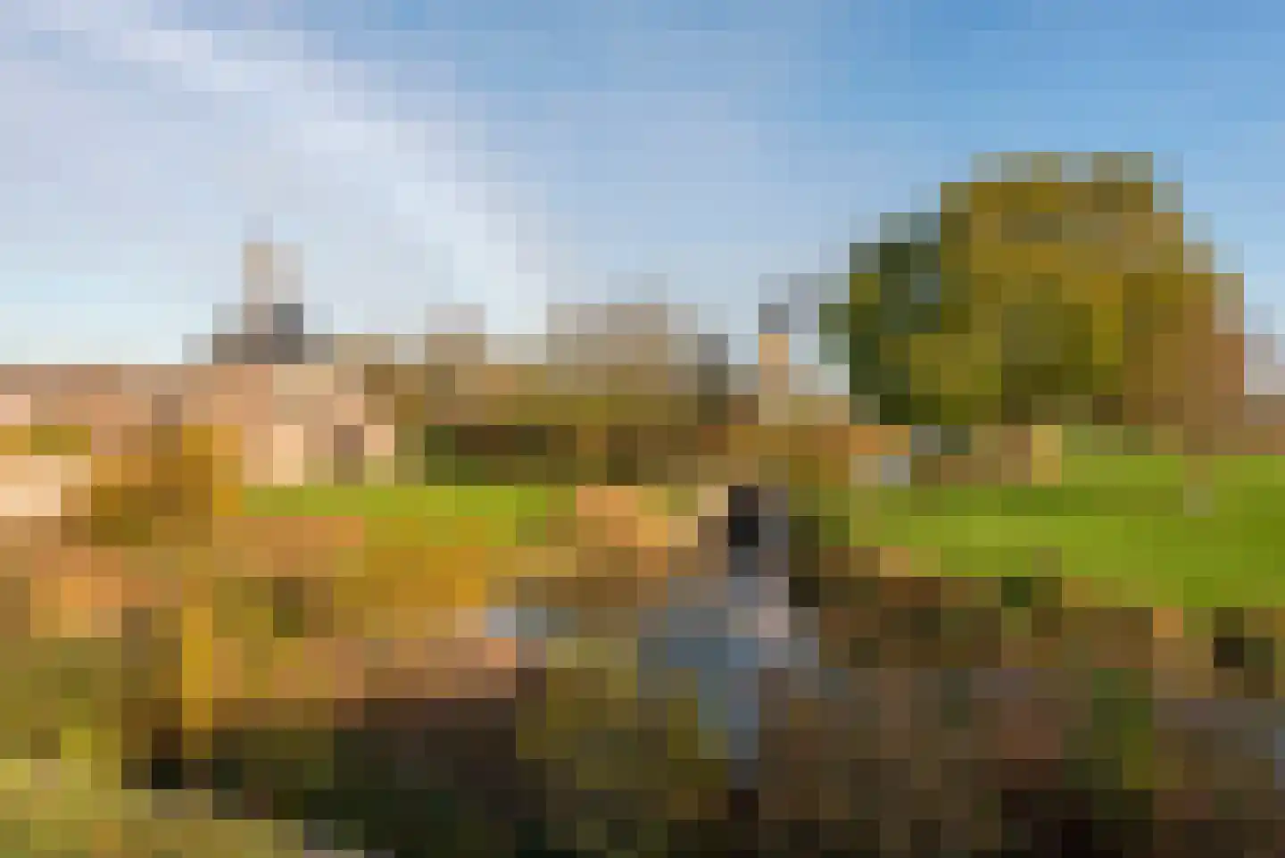 Paddemoes 17 Gorinchem thumbnail 26