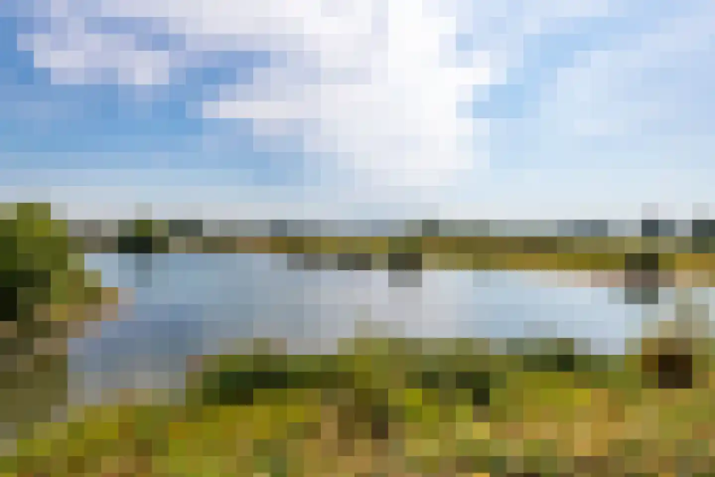 Paddemoes 17 Gorinchem thumbnail 27