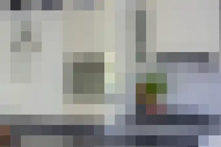 Paddemoes 31 Gorinchem thumbnail 12