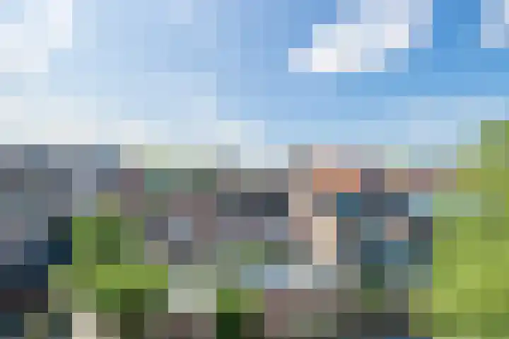 Paddemoes 31 Gorinchem thumbnail 23