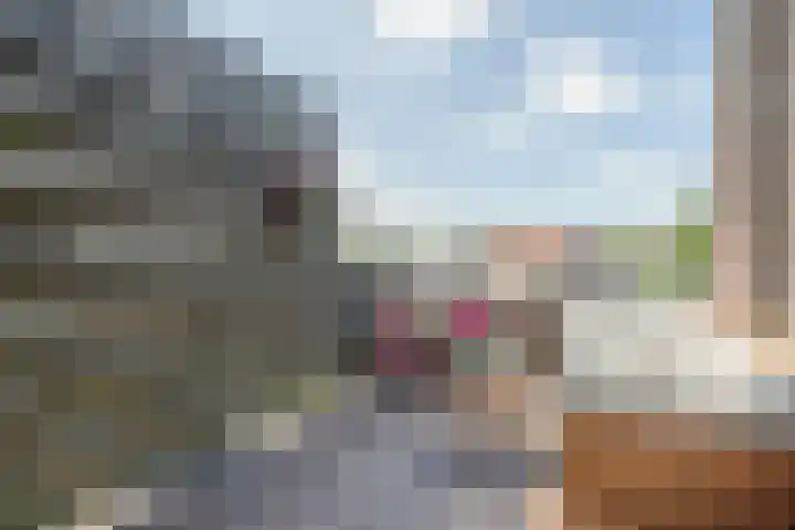 Paddemoes 31 Gorinchem thumbnail 24