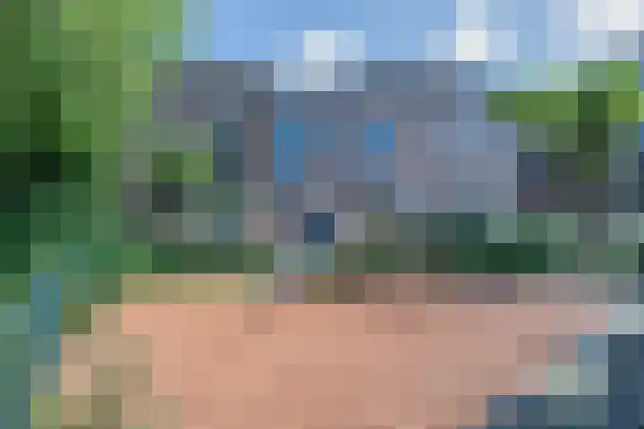 Paddemoes 31 Gorinchem thumbnail 25