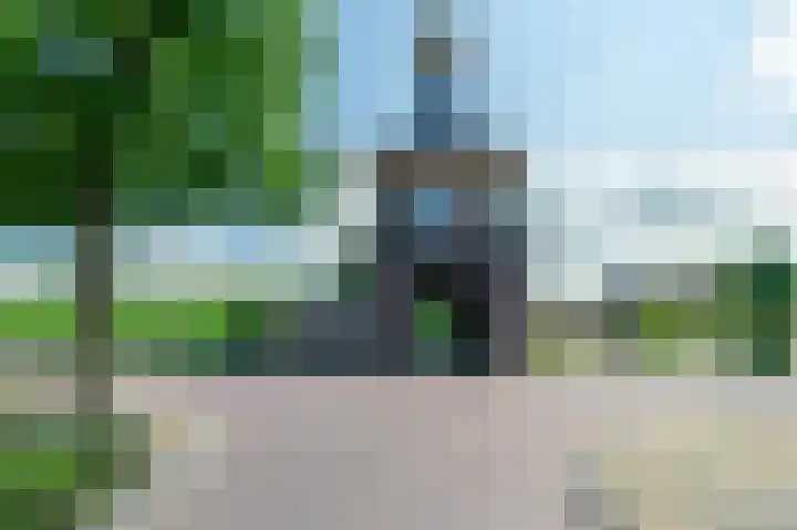 Paddemoes 31 Gorinchem thumbnail 27