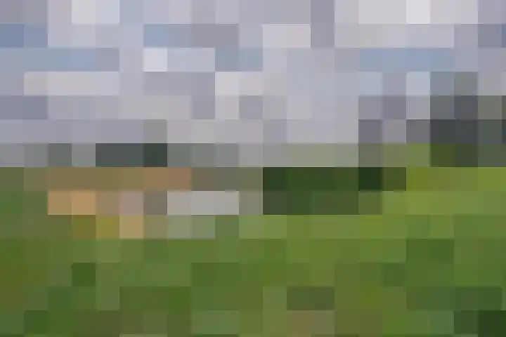 Paddemoes 31 Gorinchem thumbnail 28