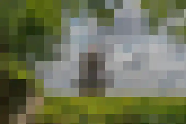 Paddemoes 31 Gorinchem thumbnail 29