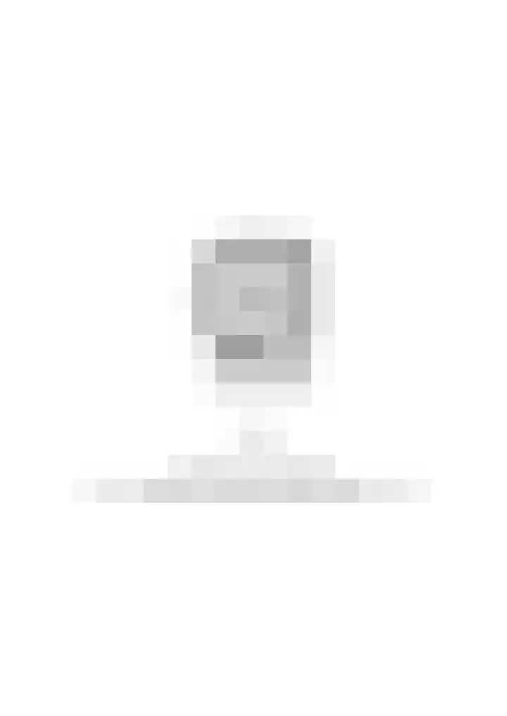 Paddemoes 31 Gorinchem thumbnail 33