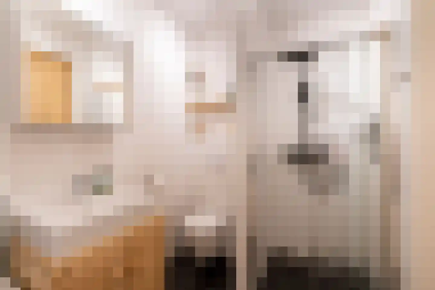 Paddenstoelenlaan 86 Vleuten thumbnail 31