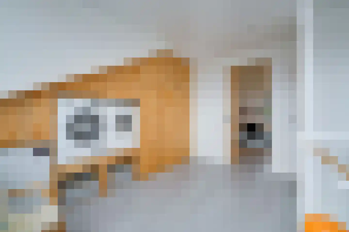 Paddenstoelenlaan 86 Vleuten thumbnail 36