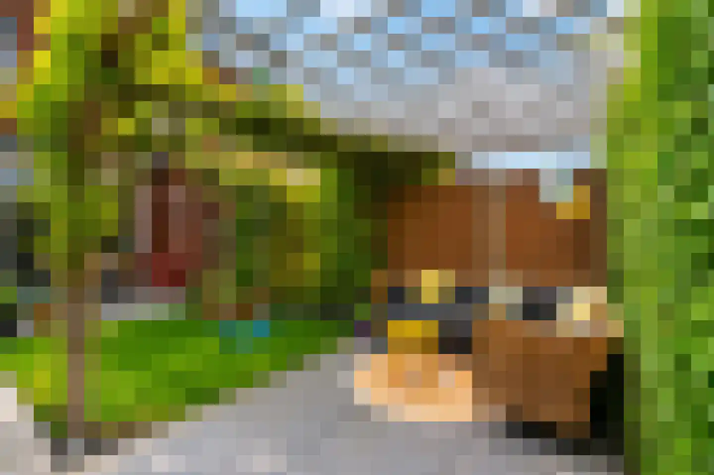 Paddenstoelenlaan 86 Vleuten thumbnail 41