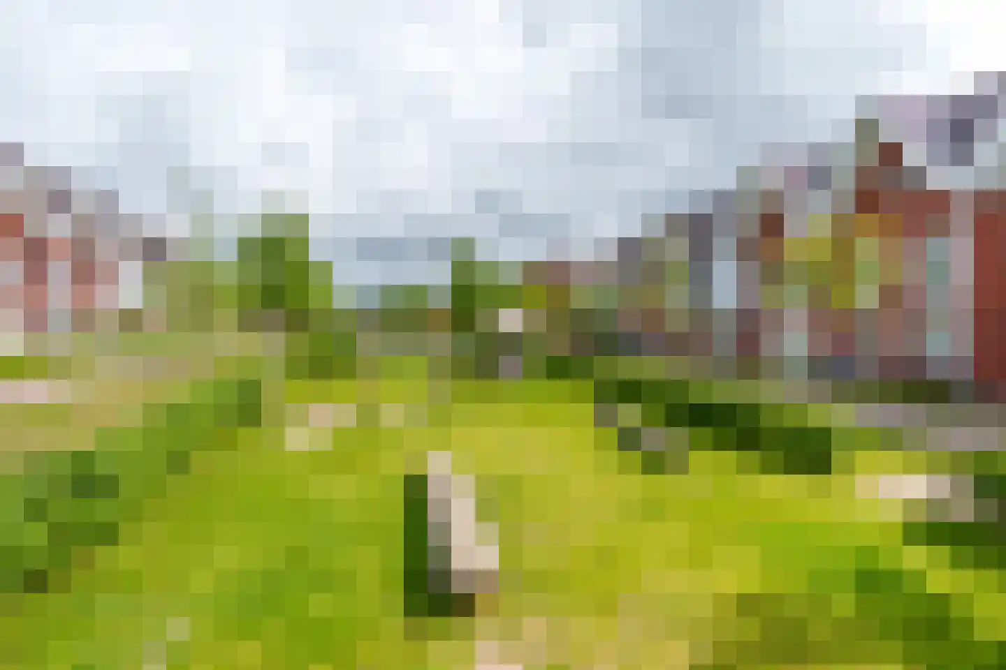 Paddenstoelenlaan 86 Vleuten thumbnail 47