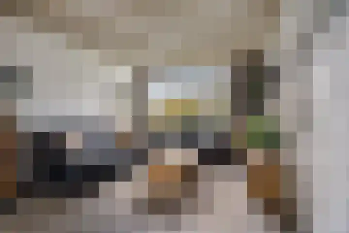 Paddepoel 5 Angeren thumbnail 10