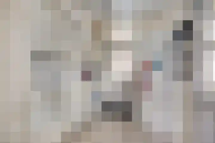 Paddepoel 5 Angeren thumbnail 13