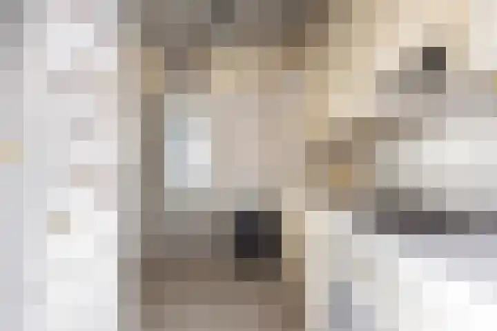 Paddepoel 5 Angeren thumbnail 14