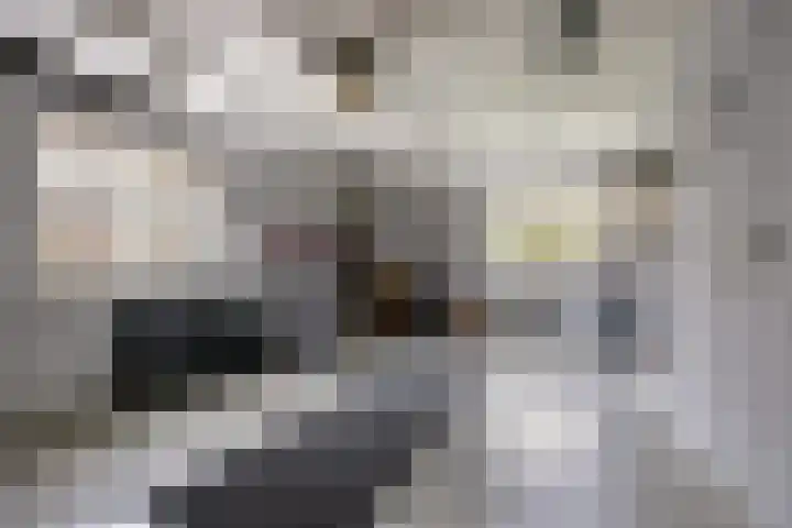 Paddepoel 5 Angeren thumbnail 16