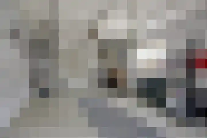 Paddepoel 5 Angeren thumbnail 17