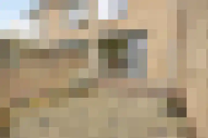 Paddepoel 5 Angeren thumbnail 20