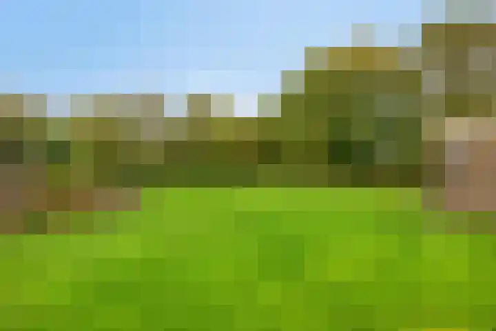 Paddepoel 5 Angeren thumbnail 21