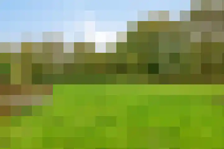 Paddepoel 5 Angeren thumbnail 22