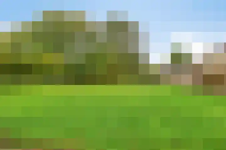 Paddepoel 5 Angeren thumbnail 23
