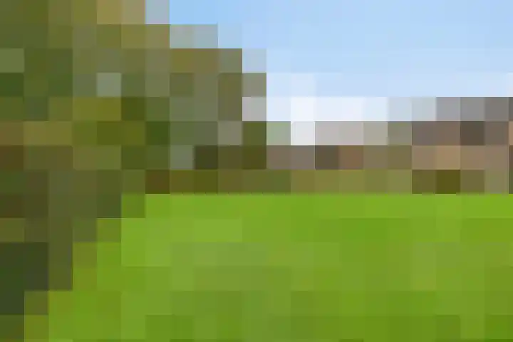 Paddepoel 5 Angeren thumbnail 24