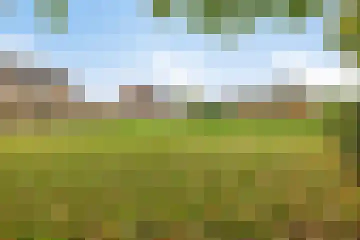 Paddepoel 5 Angeren thumbnail 25