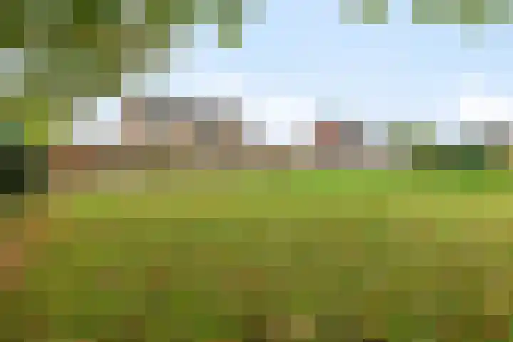 Paddepoel 5 Angeren thumbnail 26