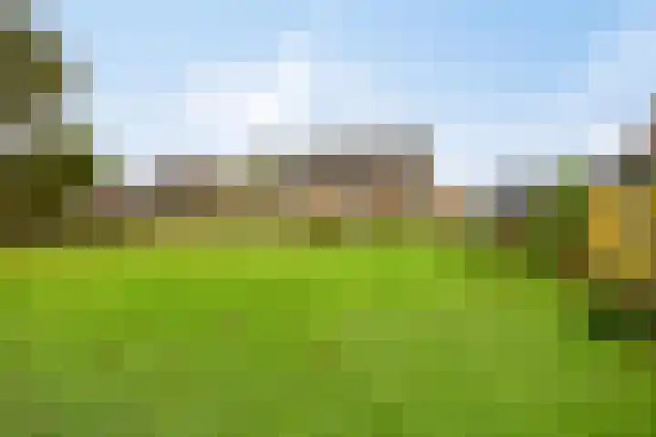 Paddepoel 5 Angeren thumbnail 27