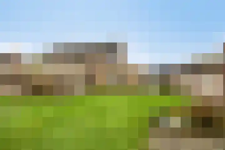 Paddepoel 5 Angeren thumbnail 28