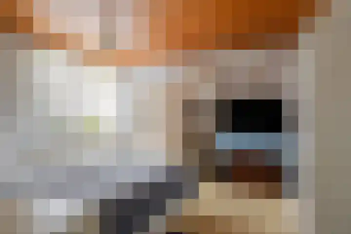 Paddepoel 5 Angeren thumbnail 33