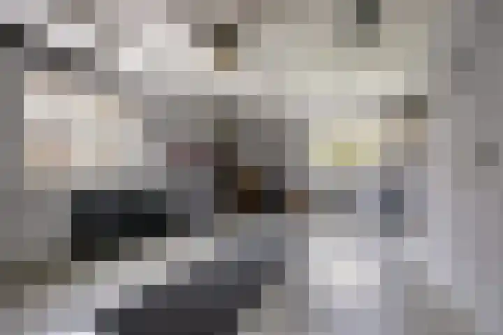 Paddepoel 5 Angeren thumbnail 4