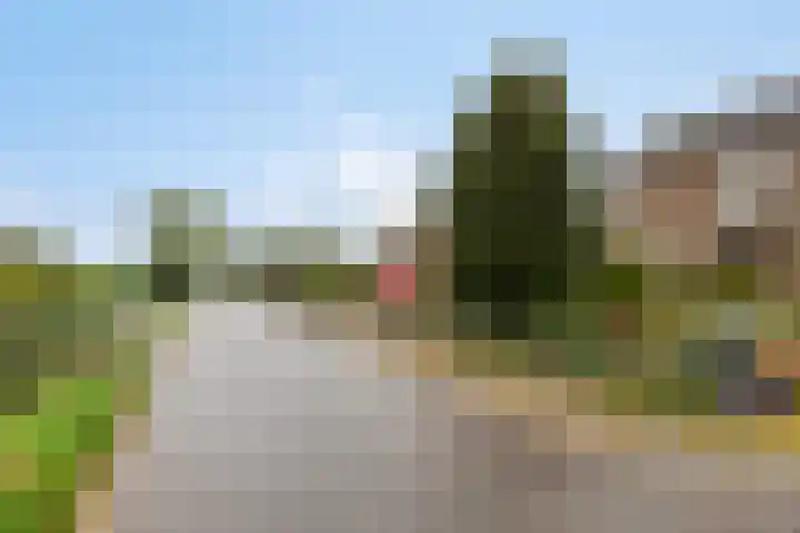 Paddepoel 5 Angeren thumbnail 45