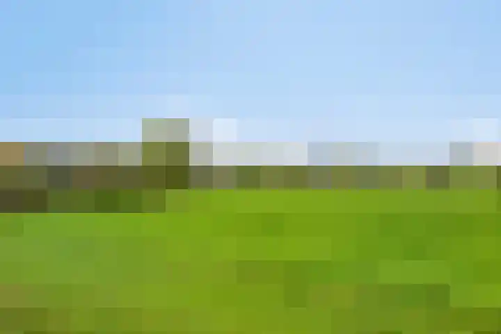 Paddepoel 5 Angeren thumbnail 46