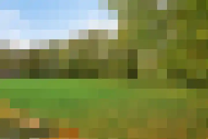 Paddepoel 5 Angeren thumbnail 48