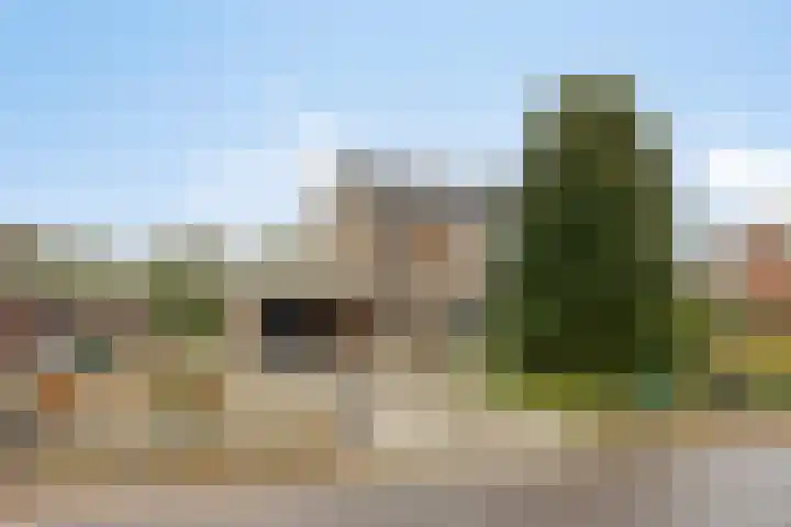 Paddepoel 5 Angeren thumbnail 5