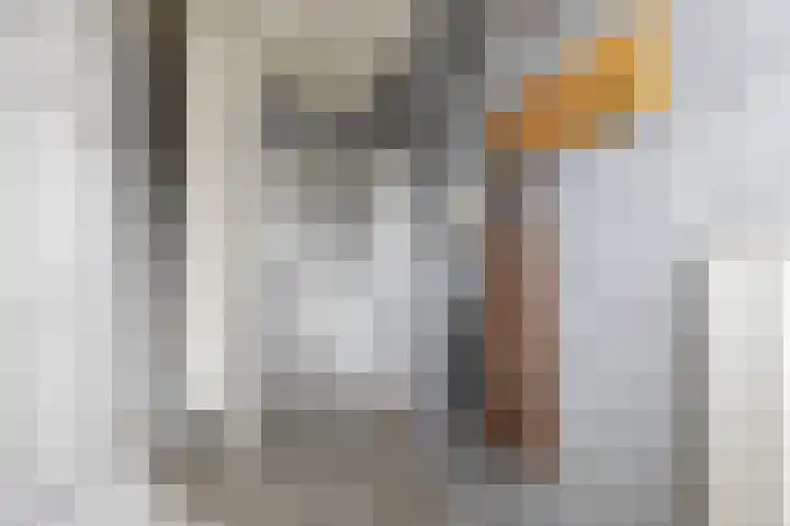 Paddepoel 5 Angeren thumbnail 8