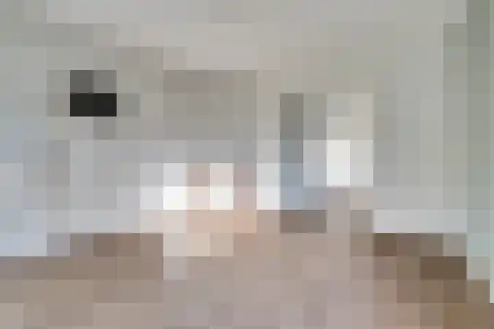 Paddepoelseweg 2 Nijmegen thumbnail 5