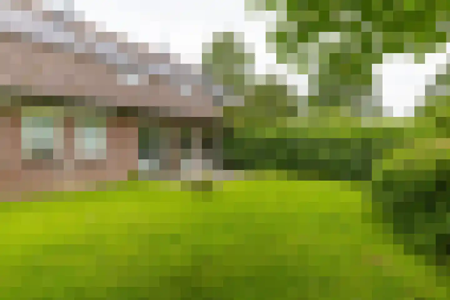 Paddepoelsterweg 17 Groningen thumbnail 15