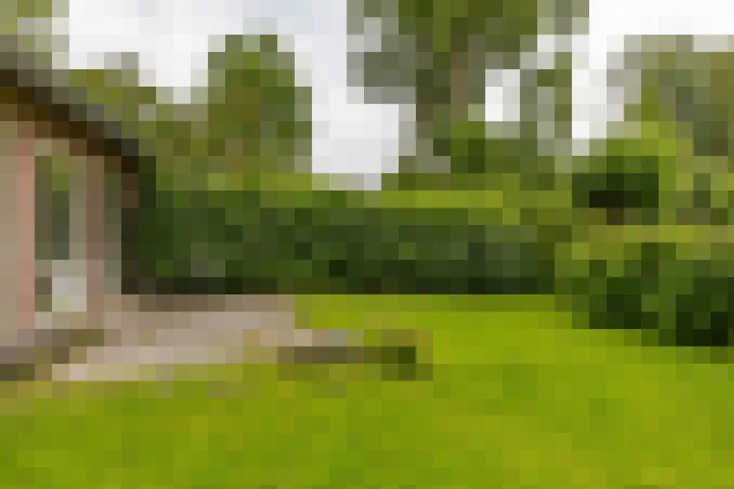 Paddepoelsterweg 17 Groningen thumbnail 16