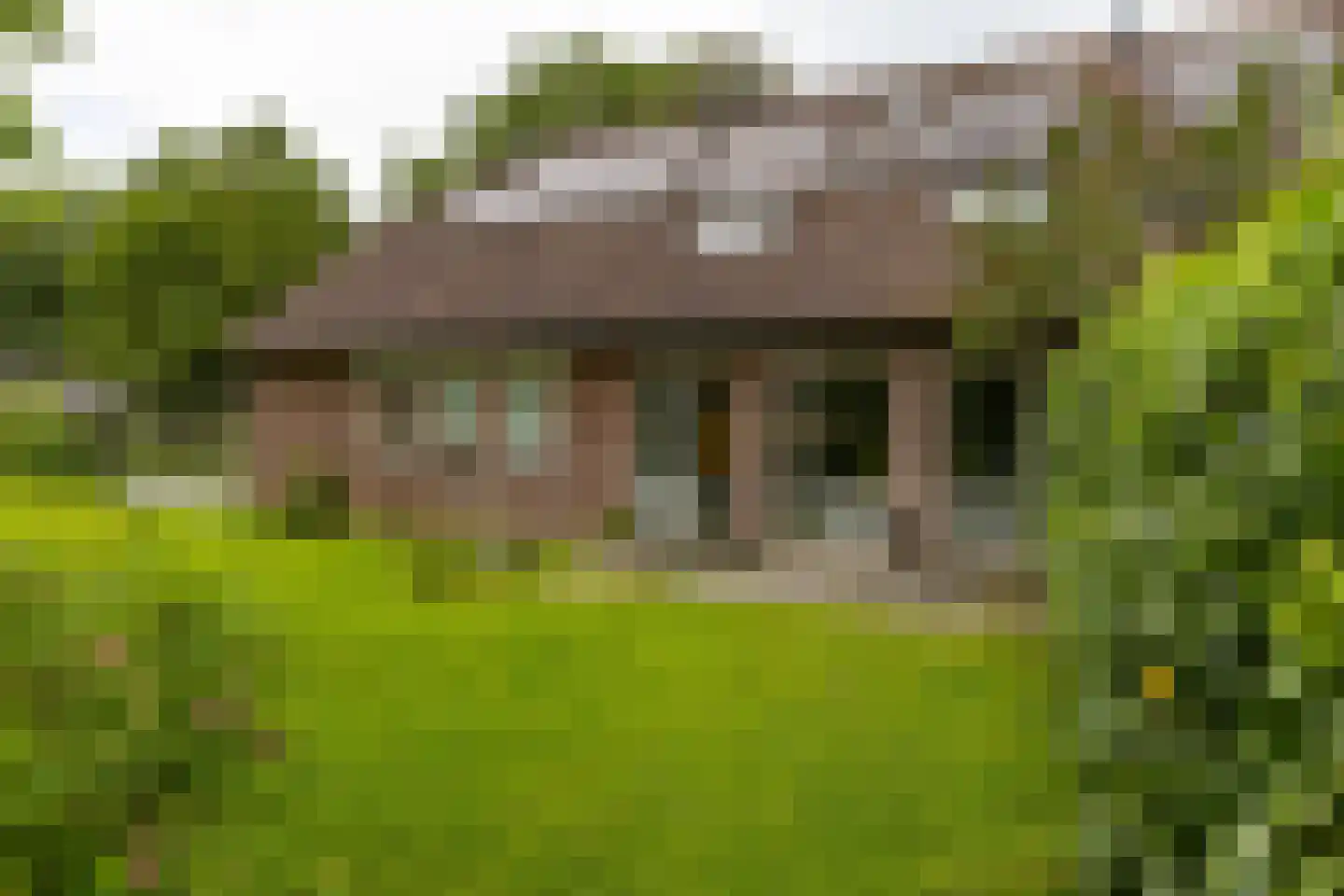 Paddepoelsterweg 17 Groningen thumbnail 17