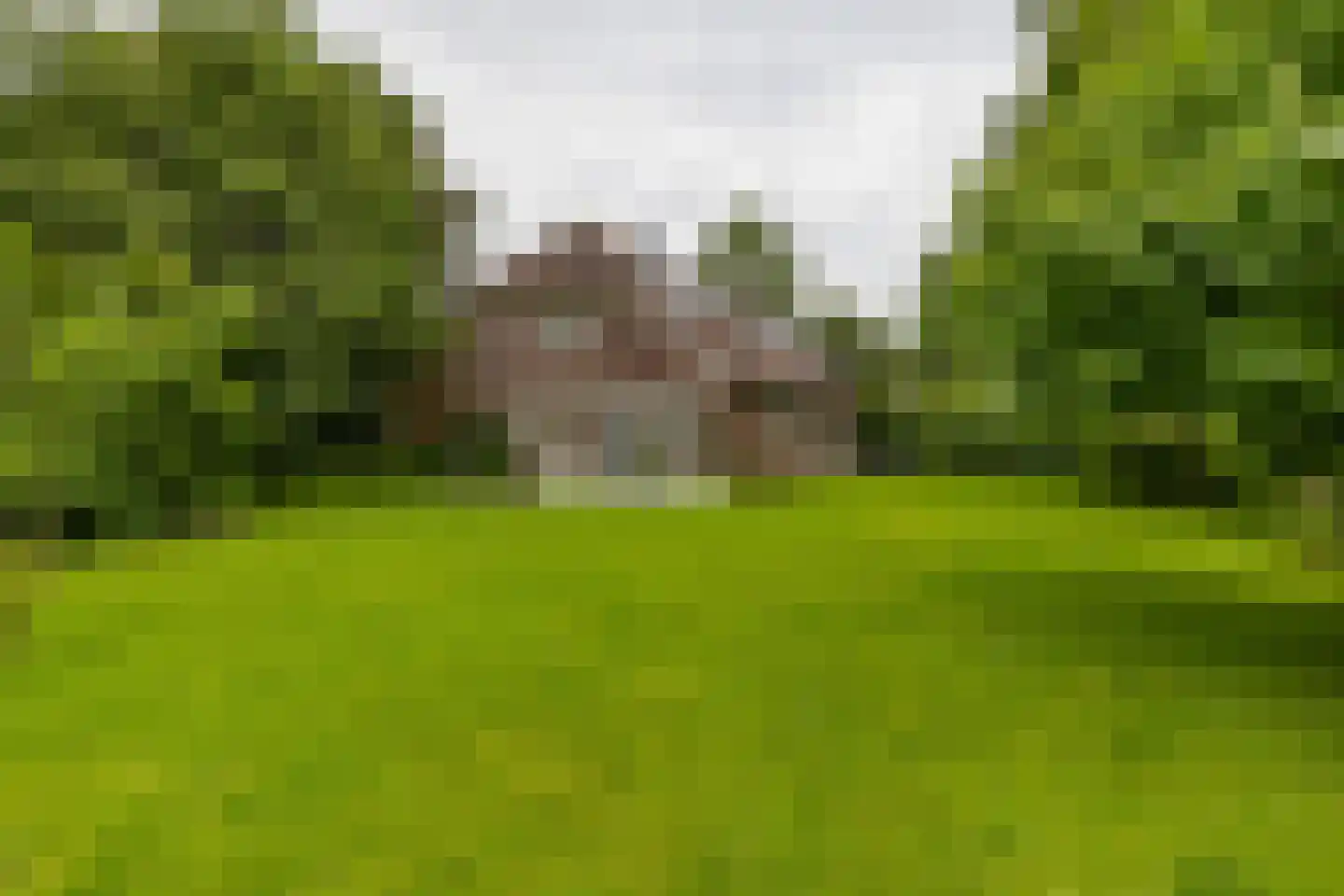 Paddepoelsterweg 17 Groningen thumbnail 19