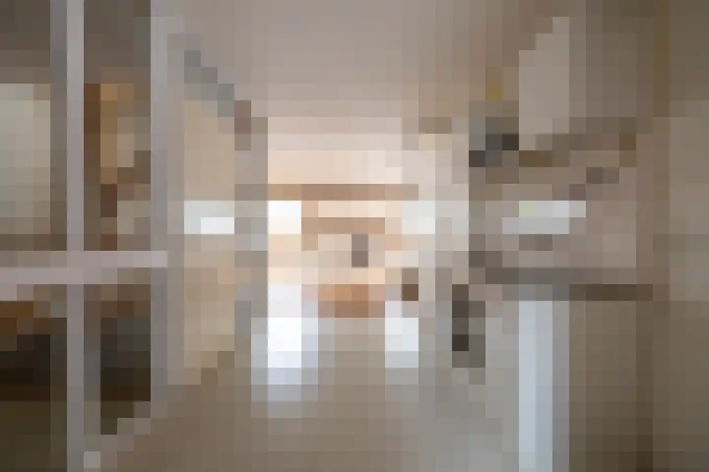 Paddepoelsterweg 17 Groningen thumbnail 32