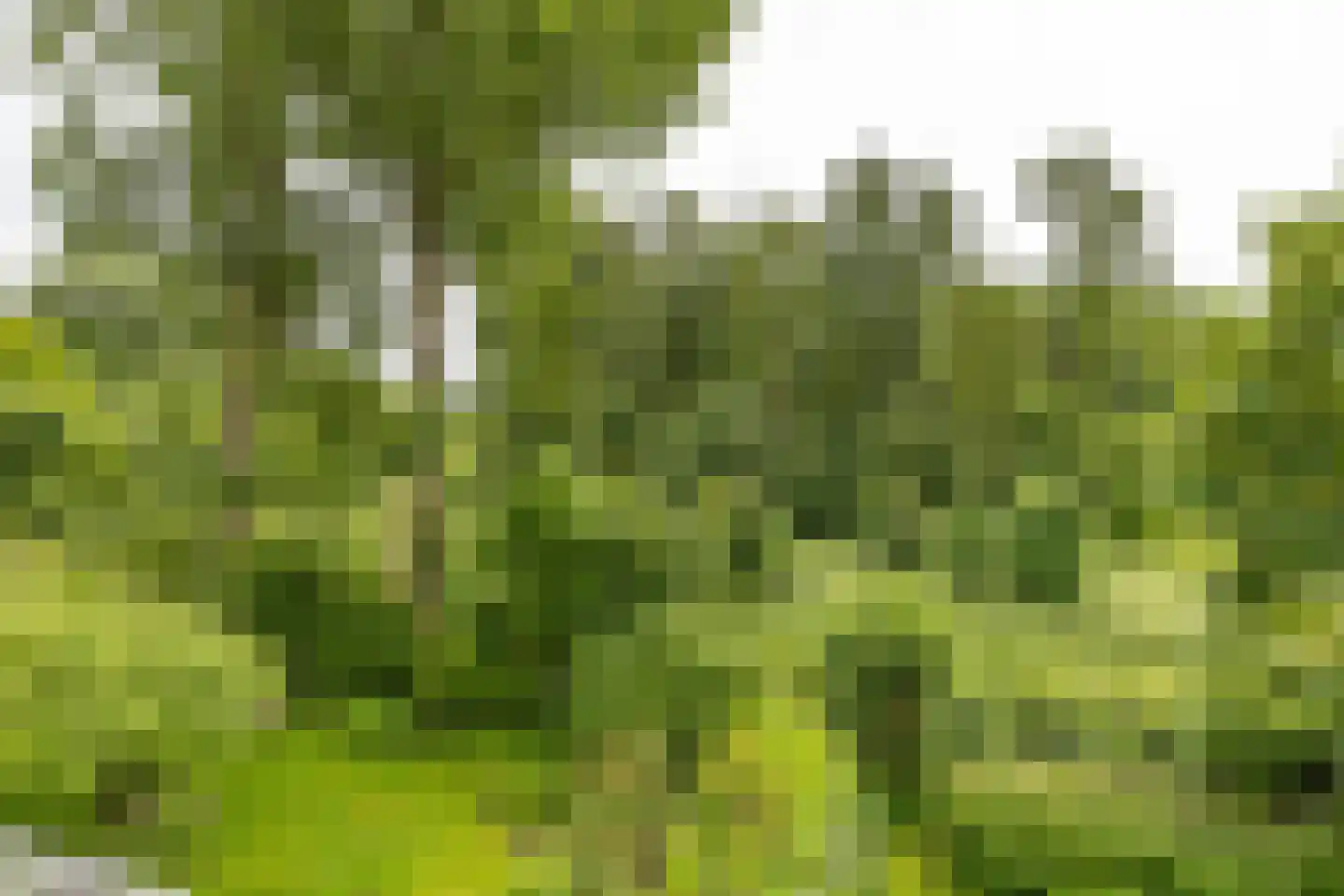 Paddepoelsterweg 17 Groningen thumbnail 36