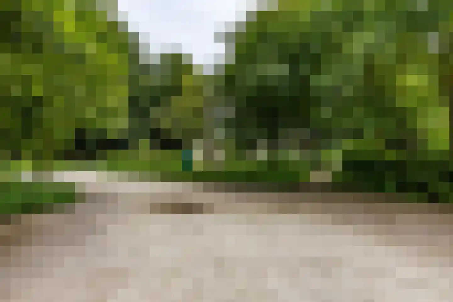 Paddepoelsterweg 17 Groningen thumbnail 37