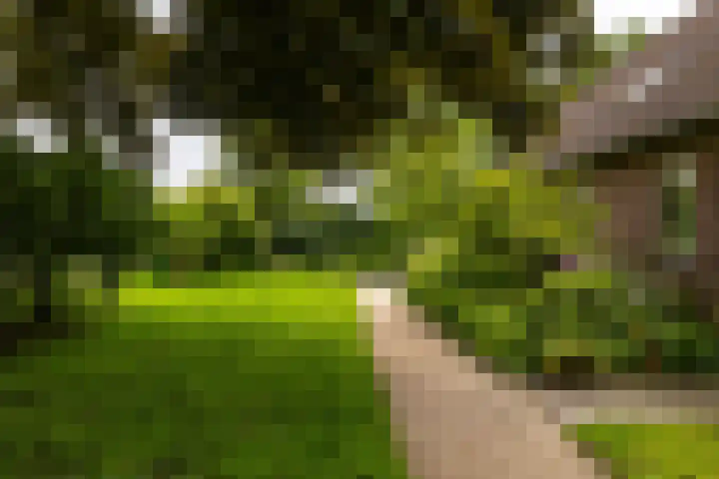 Paddepoelsterweg 17 Groningen thumbnail 38